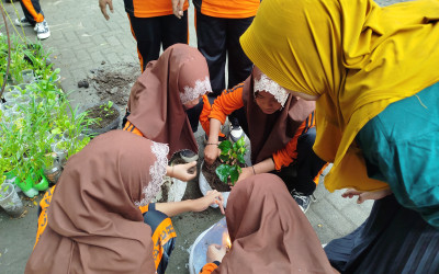 Vertikal Garden: Siswa Kelas 7 MTs NU 08 Gemuh Belajar Gaya Hidup Berkelanjutan